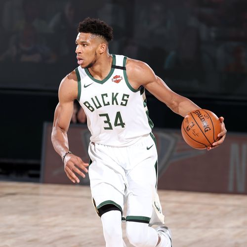 灰熊